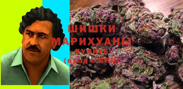 PSILOCYBIN Кулебаки