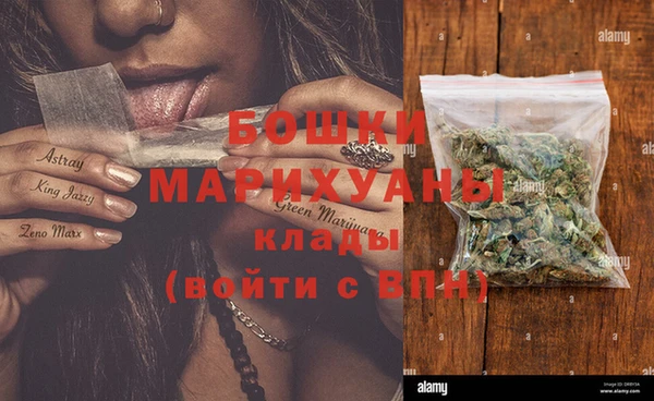 PSILOCYBIN Кулебаки