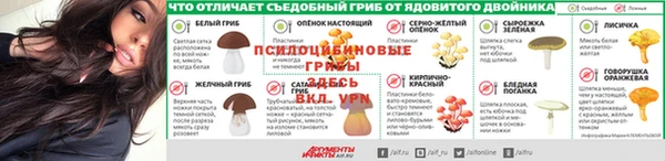 амф Грязи