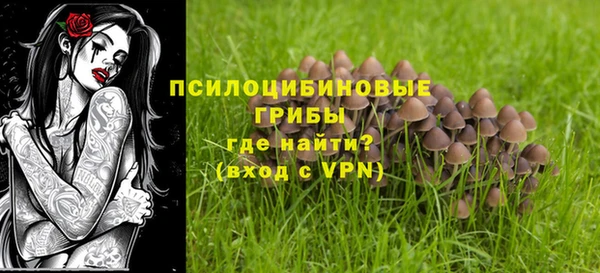 ешки Губаха