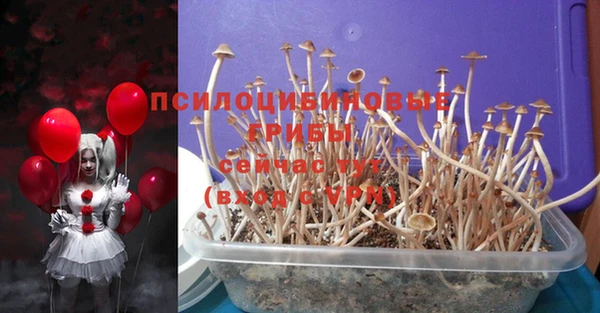 MESCALINE Краснотурьинск