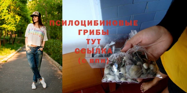 эйфоретик Красноперекопск